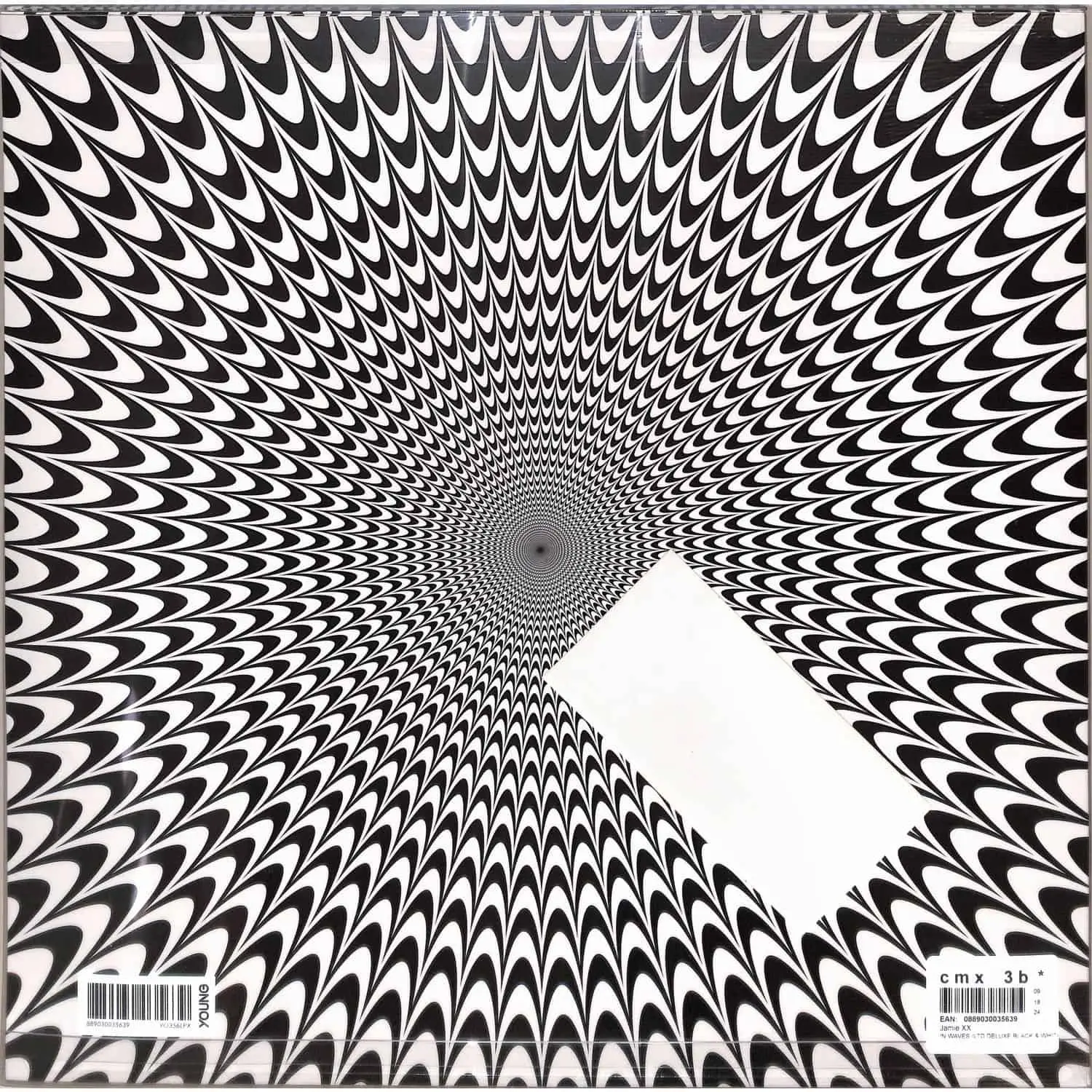 JAMIE XX - In Waves (black & white)