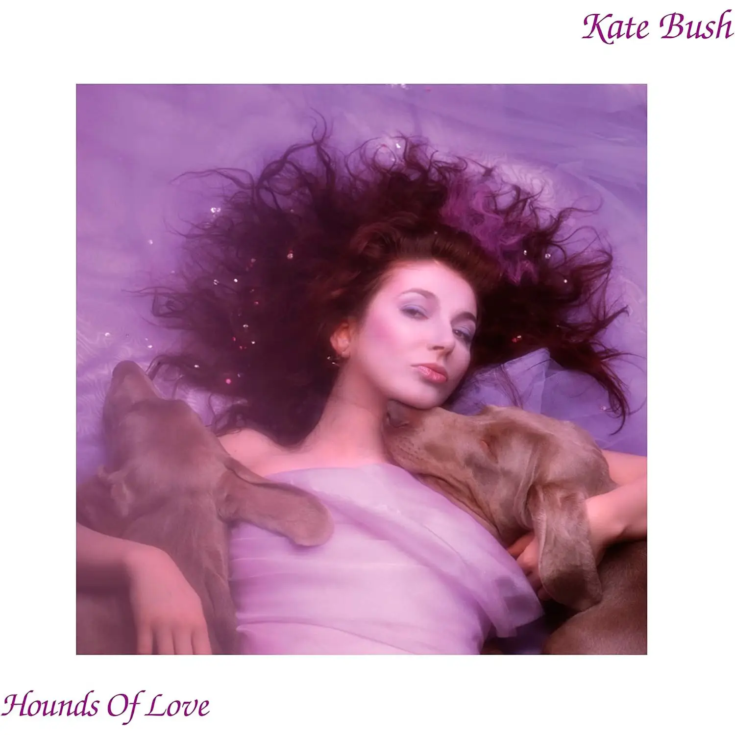 KATE BUSH - Hounds Of Love (raspberry beret) KATE BUSH - Hounds Of Love (raspberry beret)