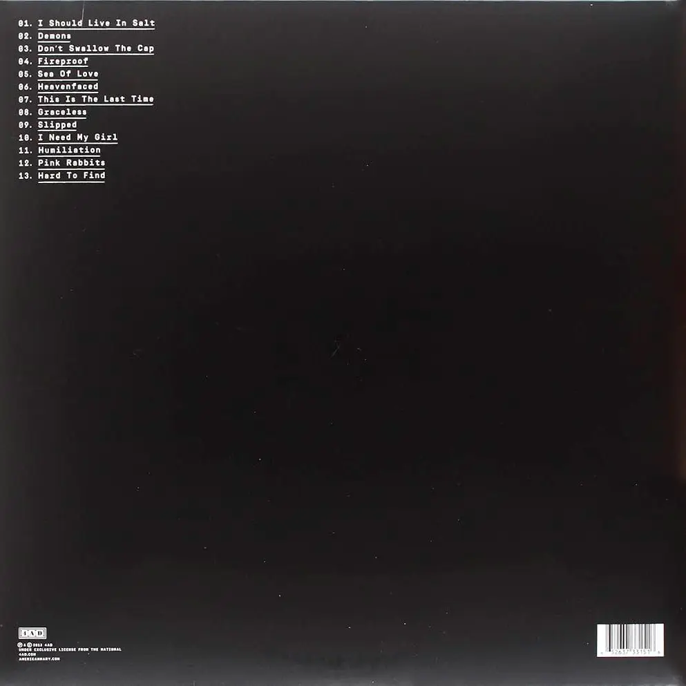 THE NATIONAL - Trouble Will Find Me