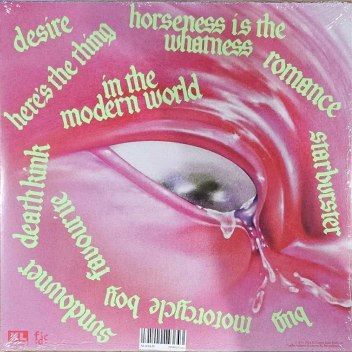 FONTAINES D.C. - Romance