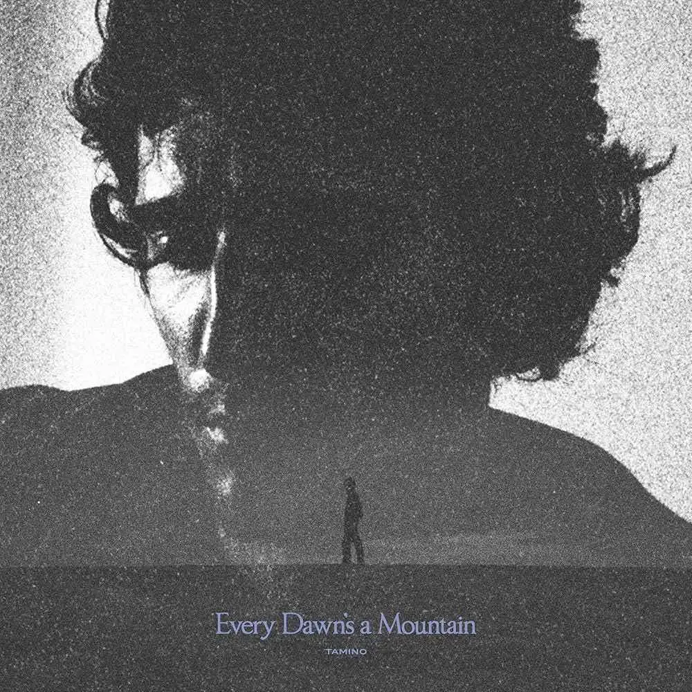 TAMINO - Every Dawn's A Mountain (black & silver marbled)