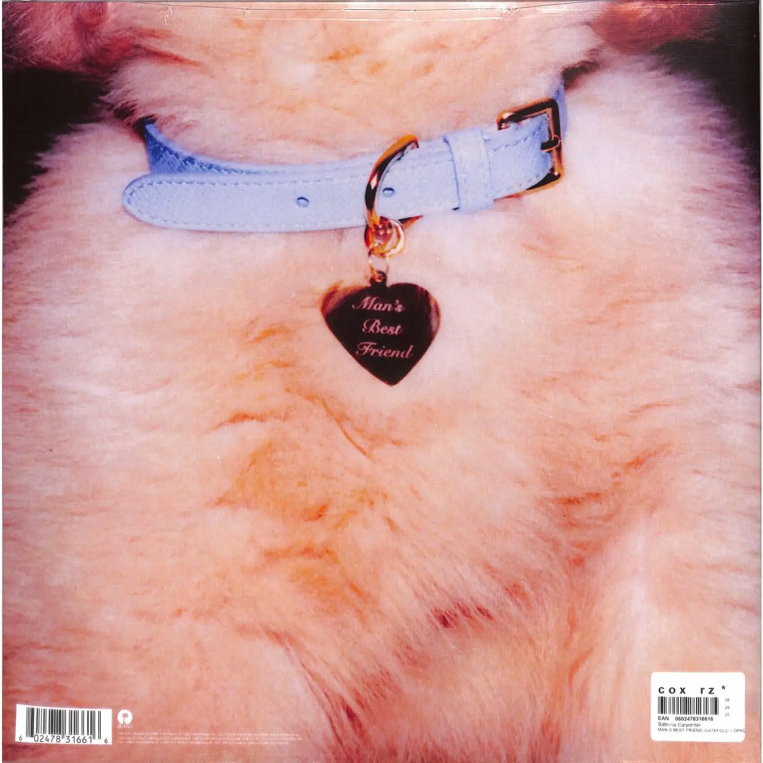 SABRINA CARPENTER - Man's Best Friend (blue)