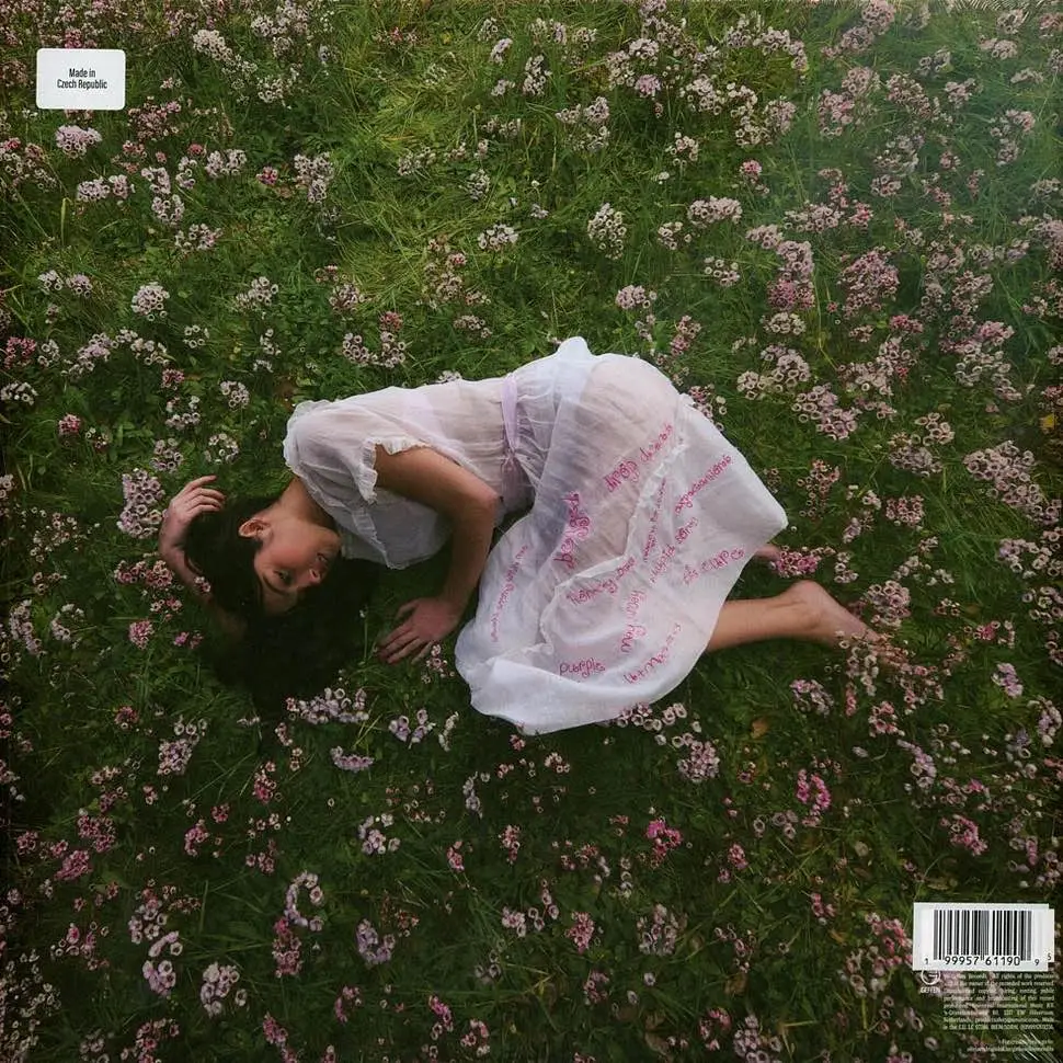 OLIVIA RODRIGO - You Seem Pretty Sad For A Girl So In Love (white) OLIVIA RODRIGO - You Seem Pretty Sad For A Girl So In Love (white)
